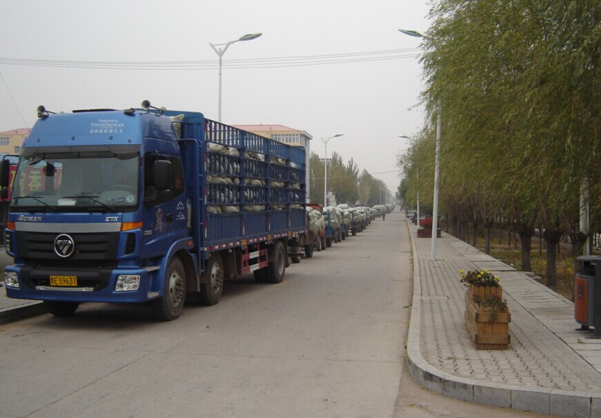 點擊瀏覽下一頁