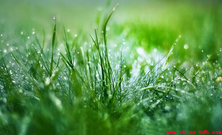 點擊瀏覽下一頁